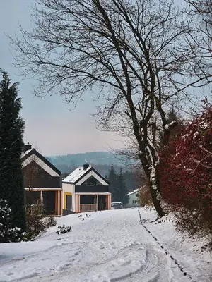 a snow covered yard with a house and a tree at Cienista Dolina in Brzoskwinia