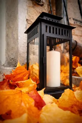 a candle in a lantern with autumn leaves at Z-1 Kraków Old Town O&P ApartFamily in Kraków