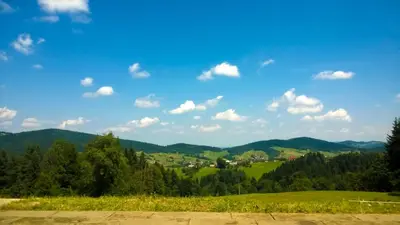 a wooded area with trees on a hill at Domki w Kasinie in Kasina Wielka