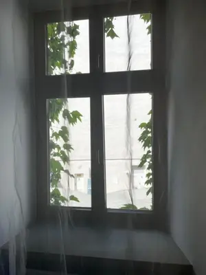 a window in a room with a plant at Lux apartmenty - Old City Kraków in Kraków