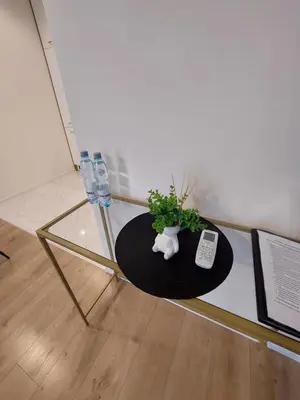 a glass table with a plant on top of it at Apartament Aktorów Bronowice in Kraków