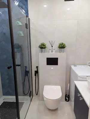 a bathroom with a toilet and a shower with plants at Apartament Piccolo in Kraków