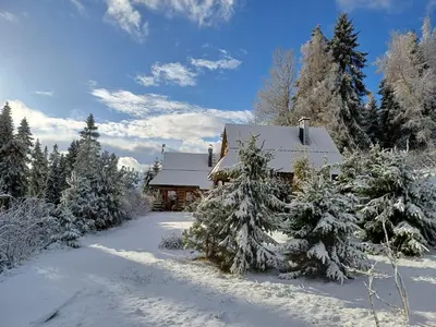 a house covered in snow with trees in front of it at Domek w górach SmoLenisko in Nowy Targ
