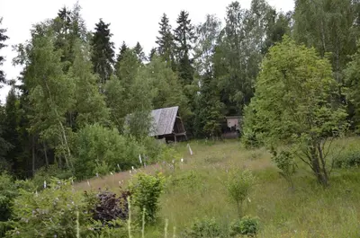 an old cabin in the middle of a field with trees at Domek w górach SmoLenisko in Nowy Targ
