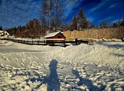 a shadow of a person standing in the snow at Alpakowy raj in Nowy Targ