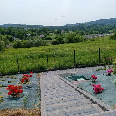 two flowers in vases on a brick path with a field at ArPioNa dom nad jeziorem z jacuzzi, sauną i placem zabaw in Dąbrówka