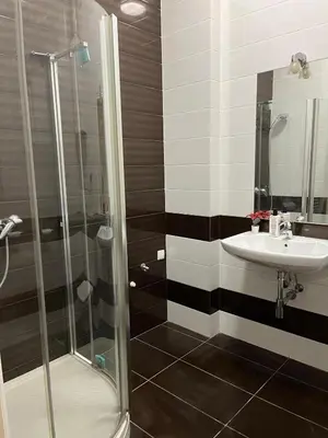 a bathroom with a shower and a sink at Batorego Lovely Rooms in Kraków