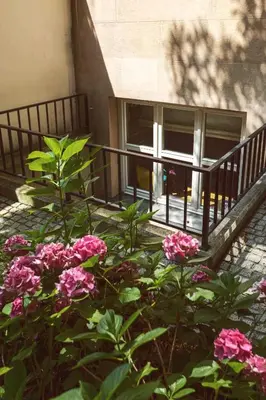 a bunch of pink flowers in front of a building at Jana Apartments in Kraków