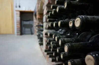 a wall of wine bottles in a wine cellar at Domek na Winnicy Zagrabie in Rybna