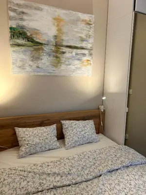 a bed with two pillows and a painting on the wall at Apartament Novo 46 in Kraków