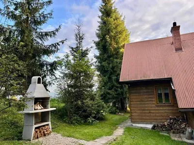 a dog sitting in a bird feeder next to a house at Domek pod Modrzewiem in Nowy Targ
