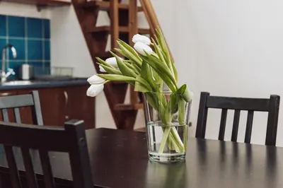 a glass vase with white flowers sitting on a table at Kraków Wawel Zwierzyniecka in Kraków