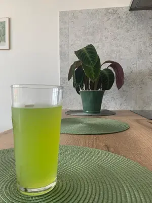 a glass of beer sitting on a table with a plant at Apartament Smile in Tomice