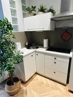 a kitchen with white cabinets and a potted plant at Długa apartament in Kraków