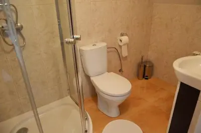 a bathroom with a toilet and a shower and a sink at Pokoje Gościnne w Ratuszu in Ogrodzieniec