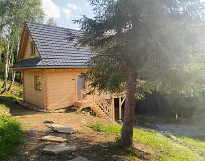 a log cabin with a tree in front of it at Babiogórskie klimaty in Zawoja