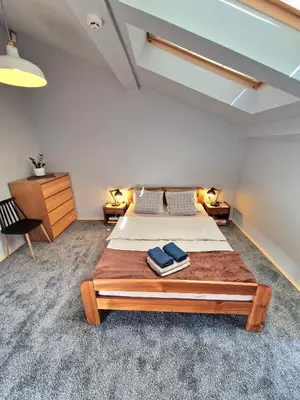a bathroom with a shower and a toilet and a sink at Zulu Apartments Old Town in Kraków