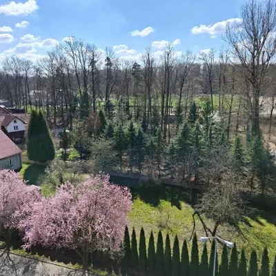 an aerial view of a garden with trees and a bridge at Apartament Pastelowy in Kraków