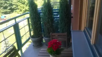 a porch with two potted plants and flowers on a balcony at Nature in Kraków