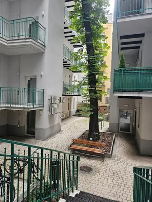 a tree in the courtyard of a building at Juwel Apartments Kraków z widokiem na Wawel 44 in Kraków