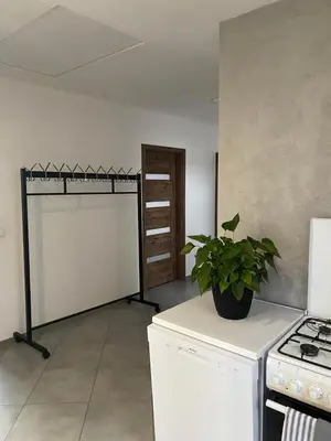 a kitchen with a stove and a plant on a counter at Noclegi Grojec in Grojec