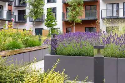 a garden with purple flowers in front of a building at Salsa Residence Pet-friendly by Noclegi Renters in Kraków