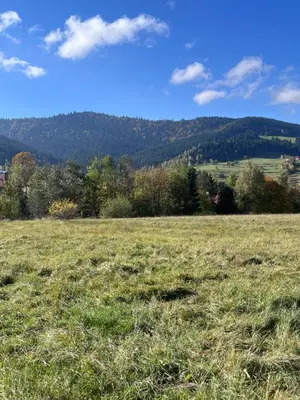 a field of grass with a mountain in the background at Domek do wynajęcia in Poręba Wielka