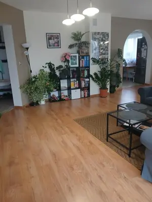 a living room with a hardwood floor and potted plants at Zielony Gaj in Gaj