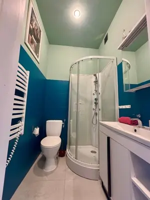 a bathroom with a shower and a toilet and a sink at Vintage Senacka 9/7 Apartment in Kraków