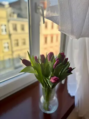 a vase filled with purple flowers sitting on a window sill at Vintage Senacka 9/7 Apartment in Kraków