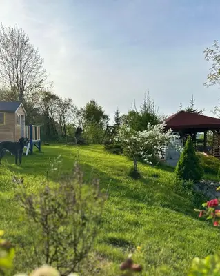a yard with a dog standing in the grass at Makowy domek in Maków Podhalański