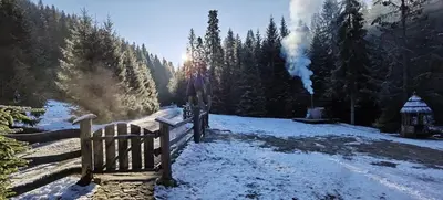 a snow covered field with a fence and trees at Bacówka Polanki in Obidowa