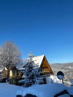a log cabin in the snow with a christmas tree at 650m n.p.m. in Zawoja