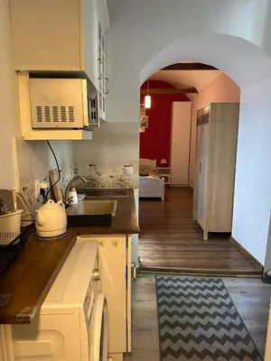 a kitchen with a sink and a counter top at City Centre Apartment Wielopole in Kraków