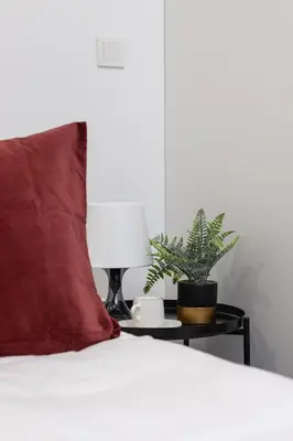 a bed with a red pillow and a plant on a night stand at Modern Studio & Terrace Kiełkowskiego by Noclegi Renters in Kraków