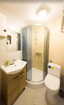 a bathroom with a shower and a toilet and a sink at Zawoja u Zbója in Zawoja