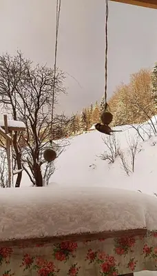 a swing in a yard covered in snow at Wypoczynek u Agnieszki in Ochotnica Górna