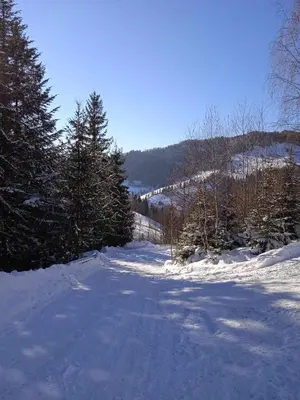 a road covered in snow with trees on a mountain at Wypoczynek u Agnieszki in Ochotnica Górna