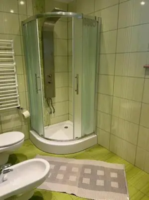a bathroom with a shower and a sink at Noclegi Wilga in Gromiec