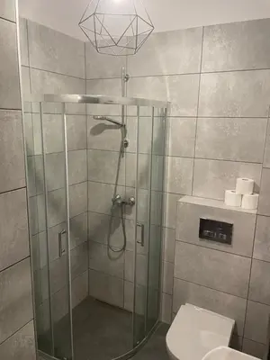 a bathroom with a shower and a toilet at Zakątek przy lesie in Łętowice