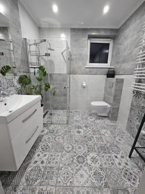 a bathroom with a shower and a toilet and a sink at Dom na Partykowie in Budzów