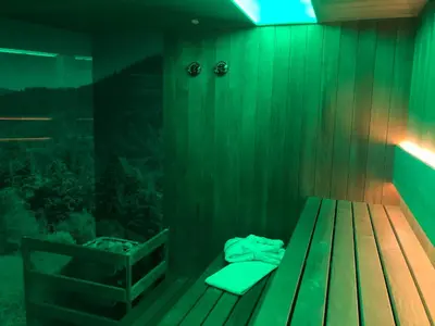 a sauna with a bench and a bath tub at Hotel Olivia Medical SPA in Skomielna Czarna