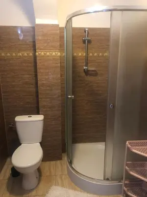 a bathroom with a toilet and a shower at Amla in Biadoliny Radłowskie