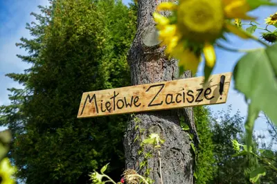 a sign on a tree that reads melbourne zaster at Miętowe Zacisze Zator in Laskowa