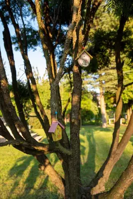 a birdhouse on a tree in a park at Miętowe Zacisze Zator in Laskowa