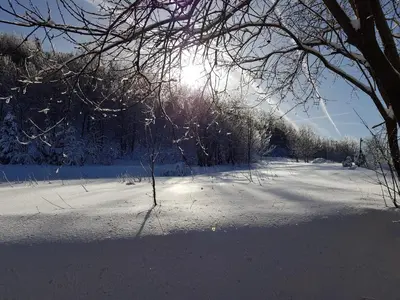 a snow covered field with the sun shining through a tree at Willa Juszczyn in Juszczyn