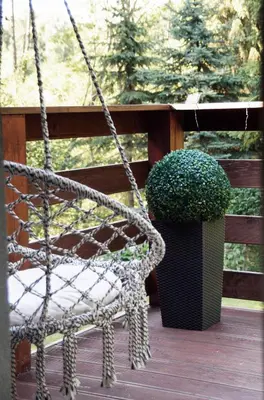 a swing on a porch with a potted plant at Apartament Zacisze in Wieliczka
