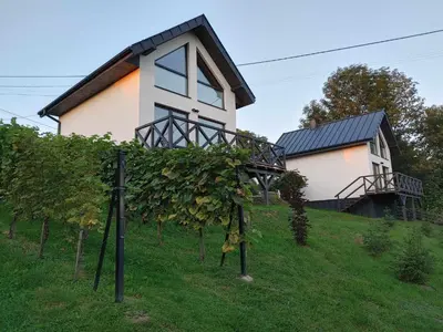 a house on top of a hill with vines at Domki Na Wiosce in Stryszowa