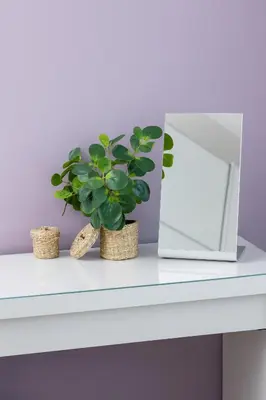 a white table with a plant and a mirror at Cracow Prądnik Spacious & Family Apartment with 3 bedroom by Renters Prestige in Kraków
