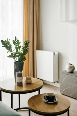 a living room with a table with a plant on it at Golden Dreams Luxury Apartments 21 in Kraków